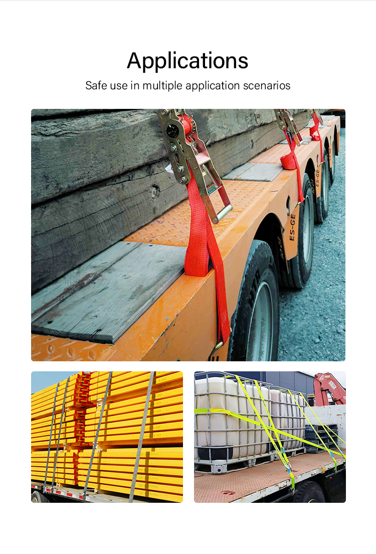 1739164362133377.jpg 5cm_03.jpg